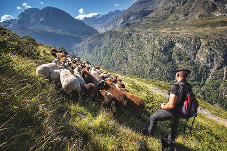 Découvrez les Hautes-Pyrénées, un concentré de nature et d’authenticité | Cabinet Alliances | Scoop.it