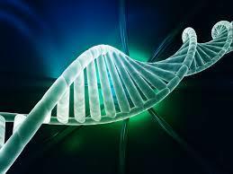 Multi-tasking CRISPR RNA scaffolds - Nature Reviews Genetics | Genetic Engineering Publications - GEG Tech top picks | Scoop.it
