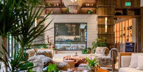1 Hotel Seattle Review: I'd Stay at the Sustainable Luxury Hotel Again | Industry 411 - Waste Management | Scoop.it