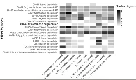 Functional and genomic potential of microbial communities in TNT-contaminated sediments at a historical submarine wreck | ComB | RMH | Scoop.it