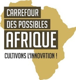 Carrefour Des Possibles Afrique |  Le concept | Actions Panafricaines | Scoop.it