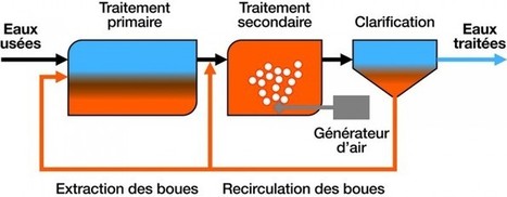 Les micro-stations d’épuration : solutions d’avenir en matière d’assainissement non collectif | Build Green, pour un habitat écologique | Scoop.it