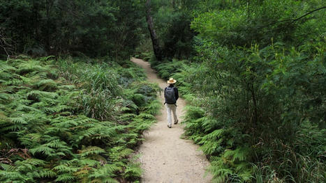 Forest bathing therapy offers path forward in times of stress and climate trauma, nature guides say. | Physical and Mental Health - Exercise, Fitness and Activity | Scoop.it