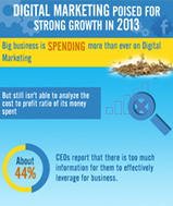 Growth of digital marketing in 2013 [Infographic] | BI Revolution | Scoop.it