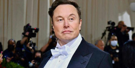 Elon Musk has failed to scrub Twitter of child exploitation accounts — despite pledges - RawStory.com | Operation Phobos | Scoop.it