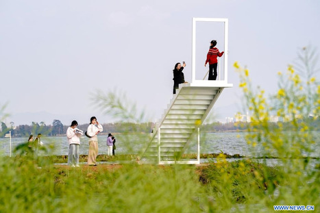 Chine : lac Dianchi au Yunnan | Kunming-Yunnan | Scoop.it