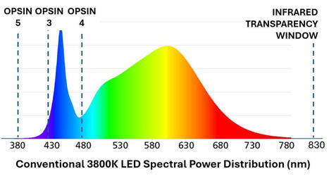 LEDs lack key wavelengths for human health | Martin Moore-Ede posted on the topic | LinkedIn | LIGHTING-Innovation-Design | Scoop.it