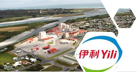 Nouvelle-Zélande : Le chinois Yili investit dans la "plus grande usine de beurre à l'étranger" | Lait de Normandie... et d'ailleurs | Scoop.it