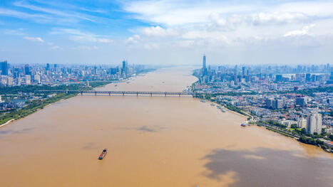 À Wuhan, en Chine, des scientifiques font une expérience particulière pour évaluer la santé du fleuve Yangtze | Wuhan, Hubei | Scoop.it