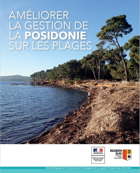 Am&eacute;liorer la gestion de la posidonie sur les plages - DREAL PACA | Biodiversit&eacute; | Scoop.it