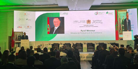 Agroalimentaire : pourquoi le Made in MOROCCO cale en Afrique | CIHEAM Press Review | Scoop.it