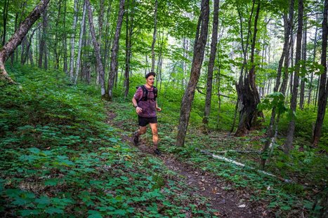 Plus qu'un sentier, un corridor écologique | Ils parlent de nous ! | Scoop.it