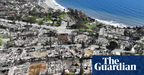 Climate crisis on track to destroy capitalism, warns top insurer | Climate crisis | The Guardian | Microeconomics: IB Economics | Scoop.it