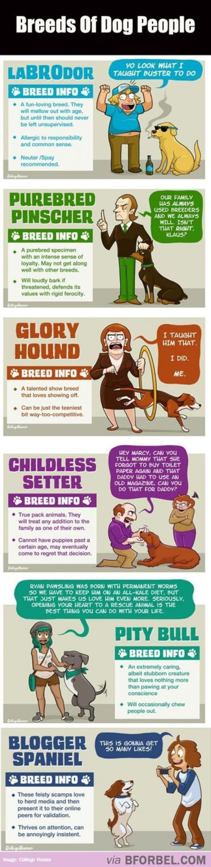 6 Breeds Of Dog-People&hellip; | funny animals | Pinterest | Walking On Sunshine | Scoop.it
