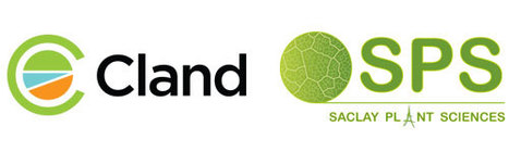 CLAND-SPS Open call 2020 for a PhD project | SEED-DREAM Lab info | Scoop.it