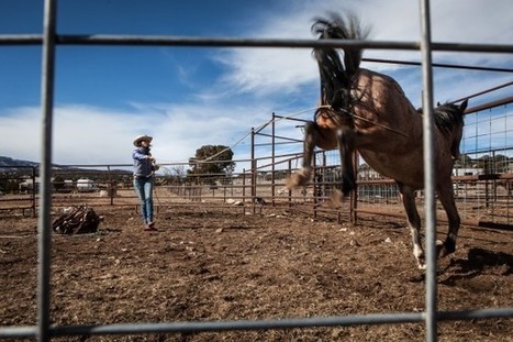 Women expand their home on the range | Stage 5 Sustainable Biomes | Scoop.it