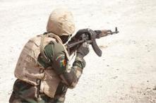 Annulé l'an dernier au Mali, Flintlock redémarre en Mauritanie, | Actualités Afrique | Scoop.it