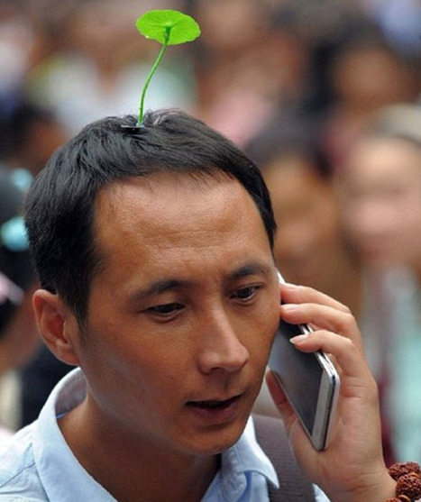 Look: Fake sprouts growing out of your head is now a thing in Beijing | News-from-China | Scoop.it