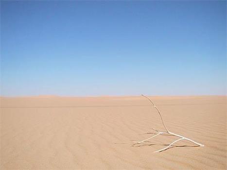 Trouver l'humanisme&hellip; | Chronique des Droits de l'Homme | Scoop.it