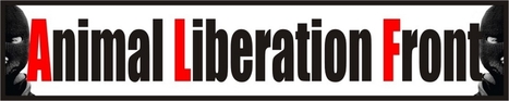 Animal Liberation Front - Mouvement Fran&ccedil;ais | Indignations & GLOBAL(R)EVOLUTION | Scoop.it