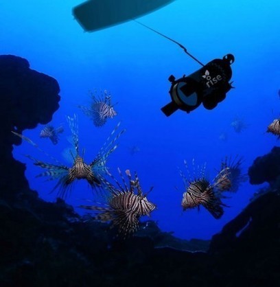 Robots, high-tech tools join battle against invasive species | INNOVATIONS | Scoop.it