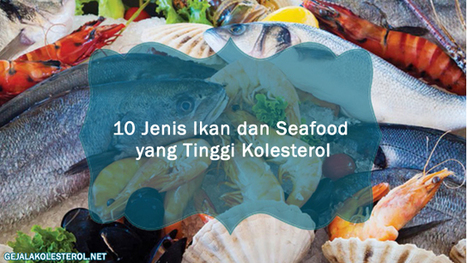 10 Jenis Ikan Dan Seafood Yang Tinggi Kolestero