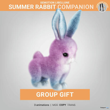 Summer Rabbit Companion July 2024 Group Gift by SEmotion Libellune | Teleport Hub - Second Life Freebies | Second Life Freebies | Scoop.it