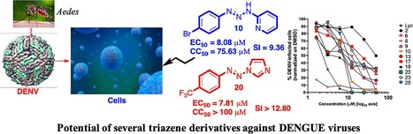 Original Paper in Bioorg Med Chem Lett • Desgagné-Penix Collaboration 2024 • Potential of several triazene derivatives against DENGUE viruses | Collaborations | Scoop.it