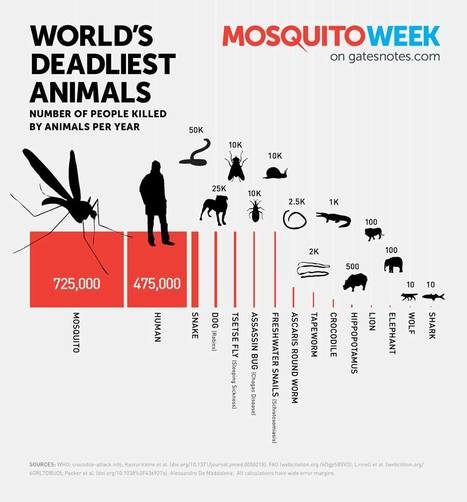 The Deadliest Animal in the World | 16s3d: Bestioles, opinions & pétitions | Scoop.it