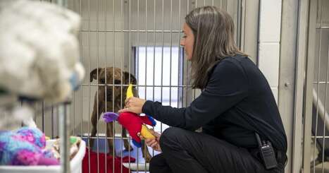 Government Notes: Iowa City Animal Care and Adoption Center to expand | The Gazette | Industry 411 - Waste Management | Scoop.it
