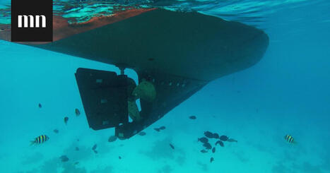 Vanhat sanat, joita harva en&auml;&auml; k&auml;ytt&auml;&auml;: listasimme 17 | 1Uutiset - Lukemisen t&auml;hden | Scoop.it