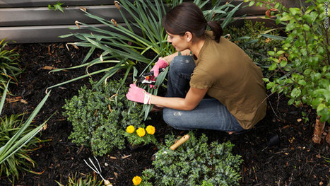 Why gardening is good for your health | Hobby, LifeStyle and much more... (multilingual: EN, FR, DE) | Scoop.it