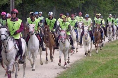 Endurance équestre à L'Isle-de-Noé | Cheval et sport | Scoop.it