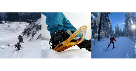 Montagne. Raquette à neige, ski de randonnée ou ski de fond : qui est le plus populaire sur internet ? | web@home    web-academy | Scoop.it