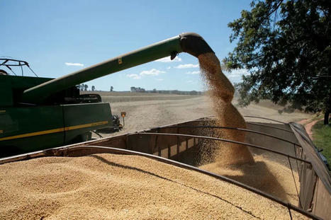 El auge de los biocombustibles afecta al principal producto de exportación de Argentina | Medio Ambiente | Scoop.it