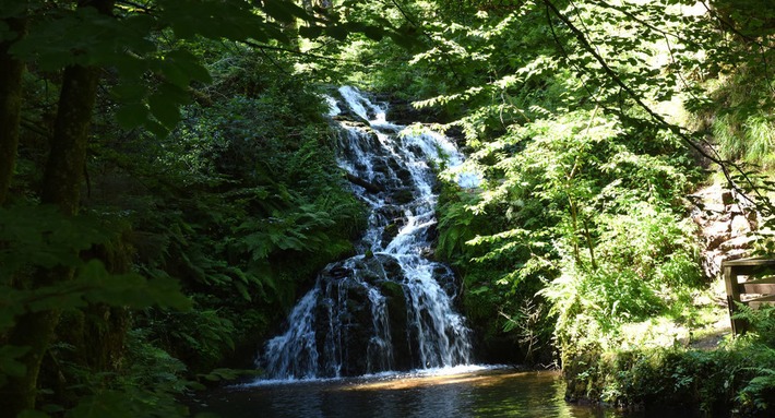 Cascade des Vosges : les 5 incontournables de l’été | Ma douce France | Scoop.it