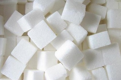 « Le sucre fera disparaître par dégénérescence l’espèce humaine » par Bernard Herzog | Toxique, soyons vigilant ! | Scoop.it