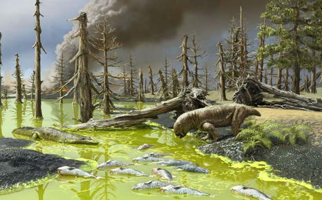 Tous les ingrédients d’une grande extinction massive sont désormais réunis, comme il y a 250 millions d'années ! | Biodiversité | Scoop.it