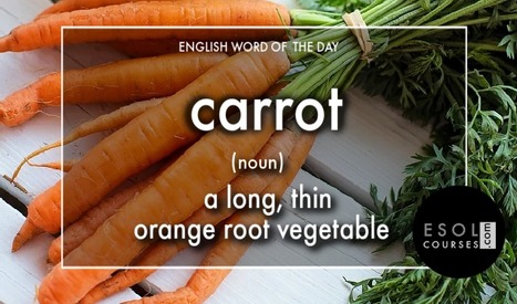 #English word of the day - carrot | English Word Power | Scoop.it
