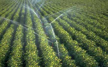 Tunisie : un malaise qui couve sur les périmètres irrigués | CIHEAM Press Review | Scoop.it