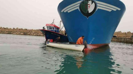 ALGÉRIE : Pêche : 4000 marins-pêcheurs en voie de régularisation. | CIHEAM Press Review | Scoop.it