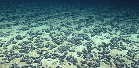 A rush is on to mine the deep seabed, with effects on ocean life that aren't well understood - The Conversation | Operation Deimos | Scoop.it