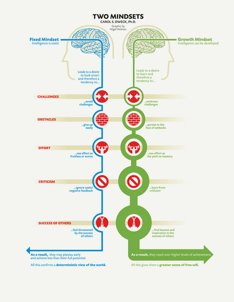 Fixed vs. Growth: The Two Basic Mindsets That Shape Our Lives | meditation, spirituality and meaning | Scoop.it
