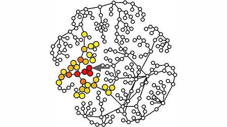 Global network control from local information | Papers | Scoop.it