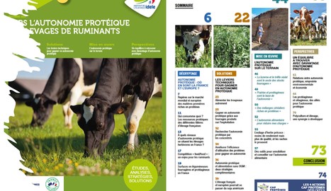 Idele : Vers l'autonomie protéique en élevages de ruminants | Lait de Normandie... et d'ailleurs | Scoop.it