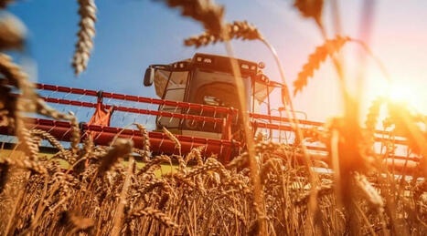 Ukraine harvested 28.4 mln tons of grain | MED-Amin network | Scoop.it