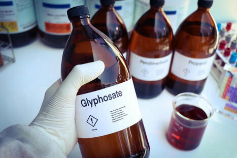 Glyphosate : 14 tumeurs détectées, la science alerte sur les dangers pour la santé de cet herbicide | ITERG - Nutrition, Santé et Biochimie des Lipides | Scoop.it