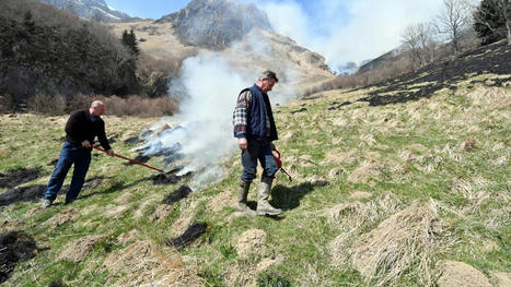L’écobuage, le feu qui purifie les montagnes | Vallées d'Aure & Louron - Pyrénées | Scoop.it