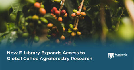 New E-Library Expands Access to Global Coffee AGROFORESTRY Research | CIHEAM Press Review | Scoop.it