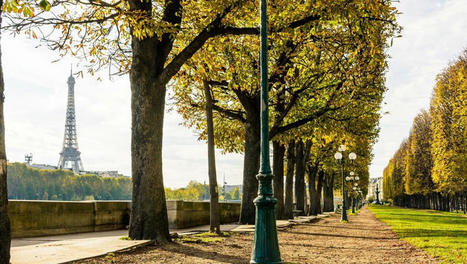 Paris : la Ville déploie les premiers panneaux solaires sur les toits de bâtiments publics | rev3 - la 3ème révolution industrielle en Hauts-de-France | Scoop.it
